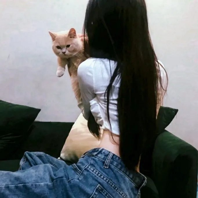 瓜达卢佩的吹笛人 海报