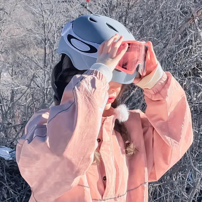 姐妹双行之巴黎护照 海报
